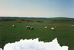 1996 - Grande-Bretagne 27 (Anglesey - Mai 1996)